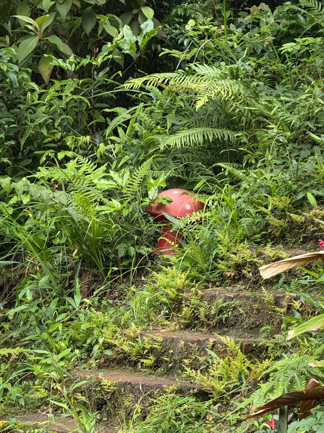 野山谷！爬山爬谷还爬门！🧗