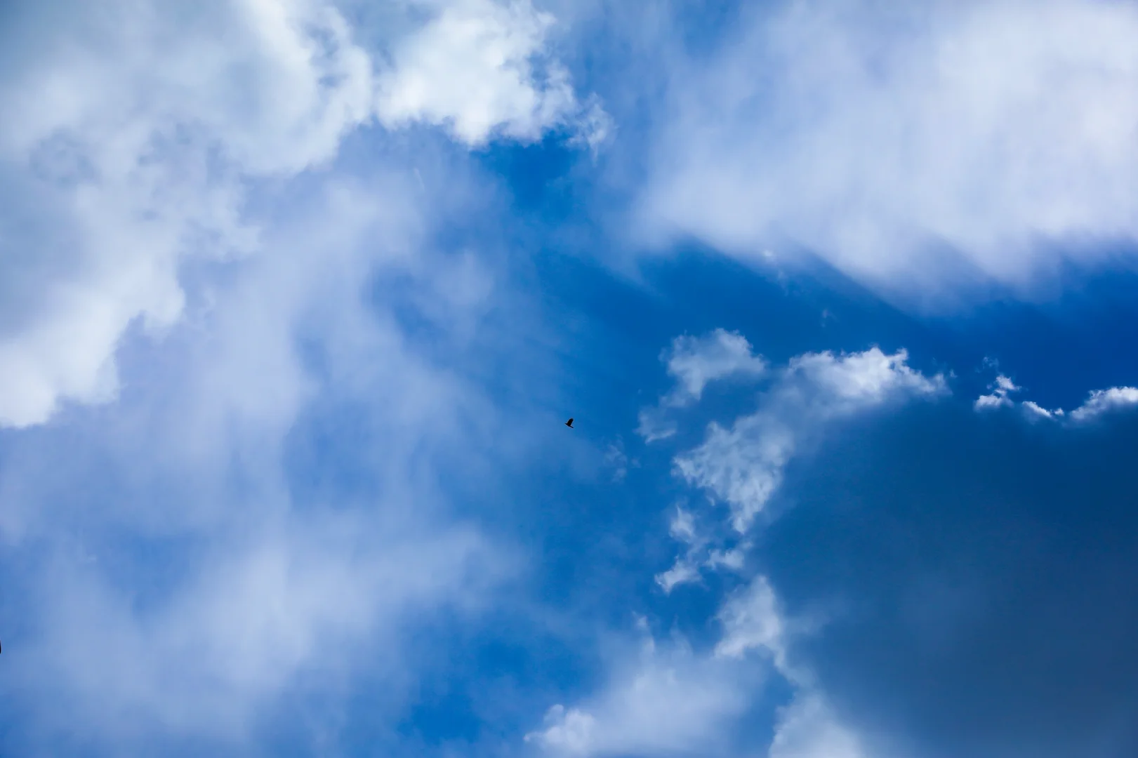 在鞍山千山深处偶遇隐世感仙境