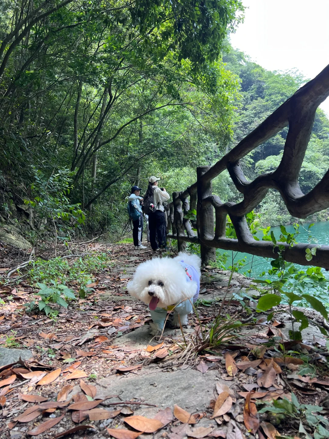 徒步/岩门下村景区环线-绝美瀑布~