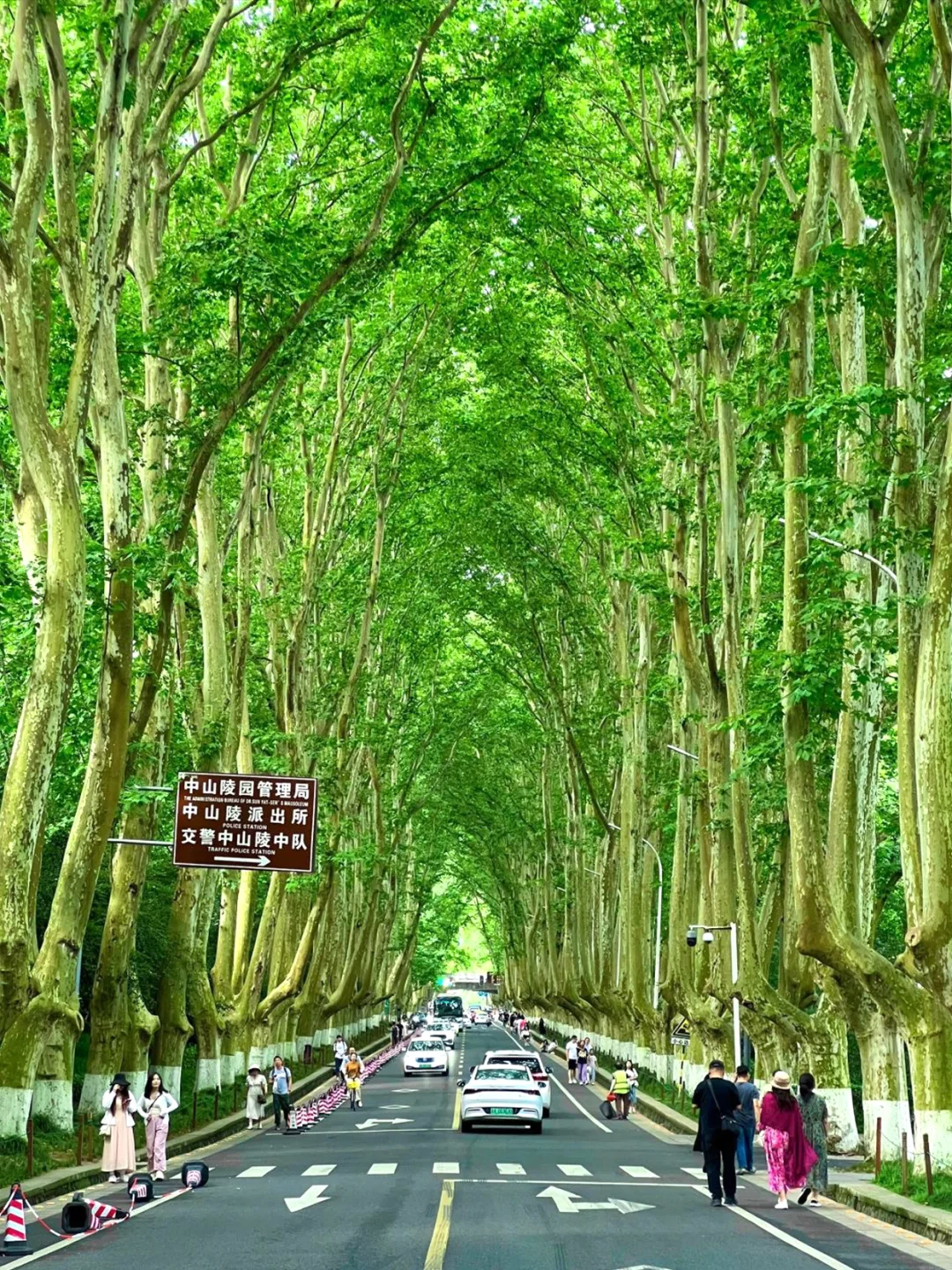 五月去南京🌿2天1晚📍超全保姆级打卡攻略