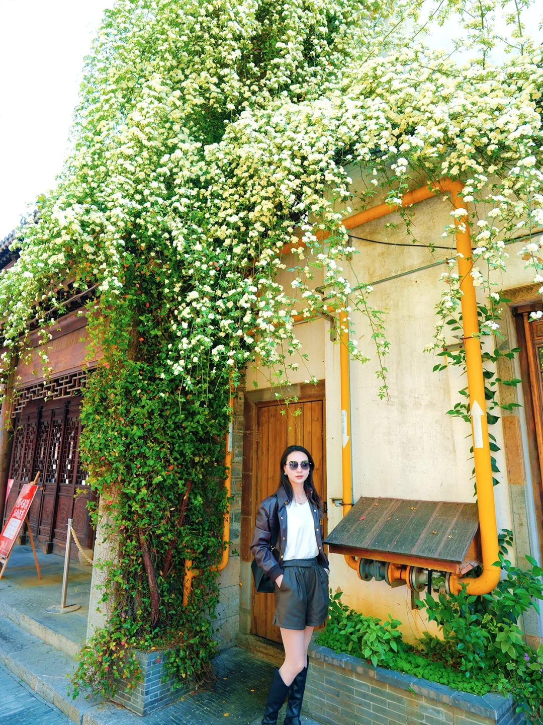 五月去南京🌿2天1晚📍超全保姆级打卡攻略