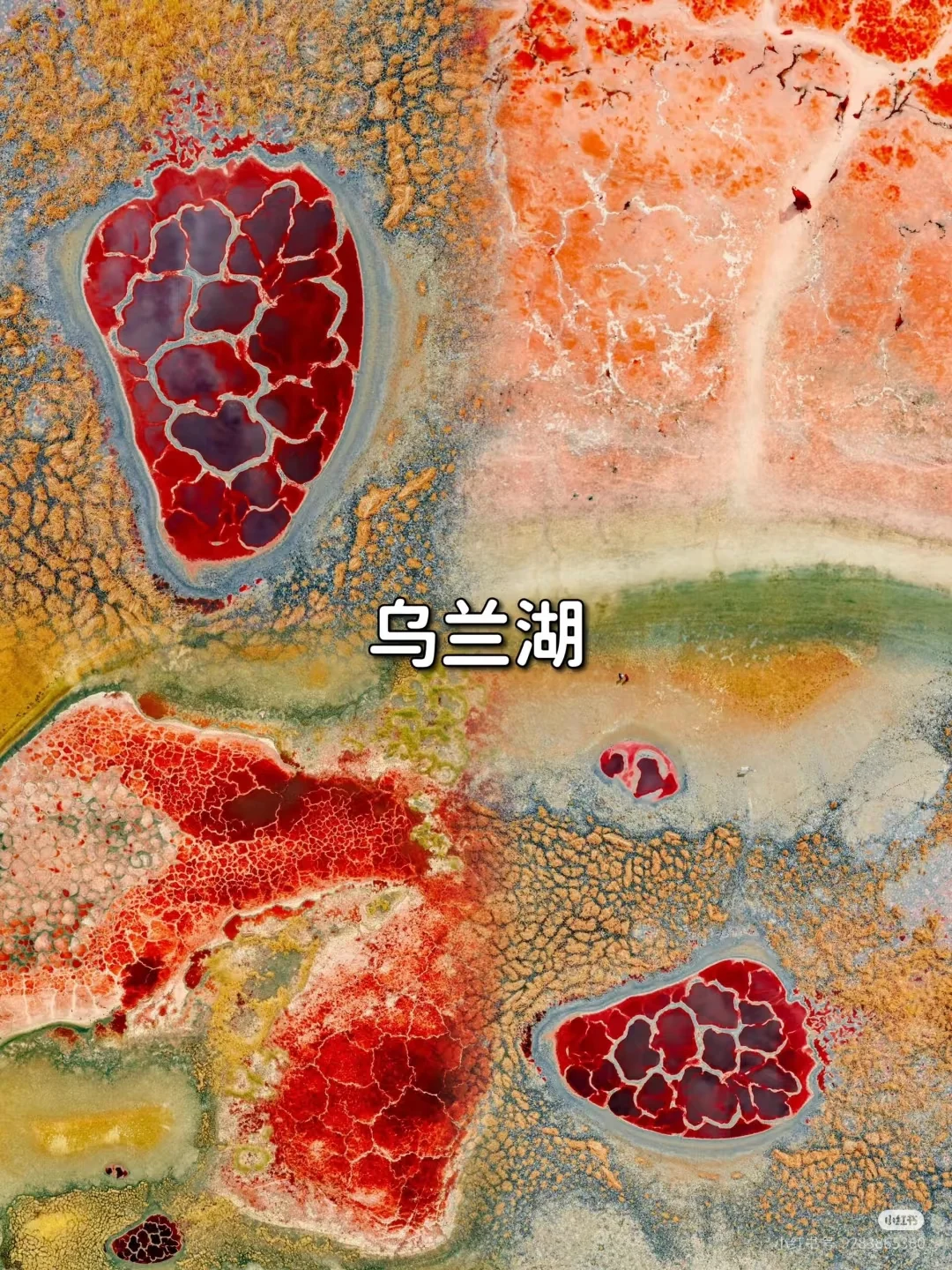 4~6月来宁夏一定要看完这篇再出发🚩听劝