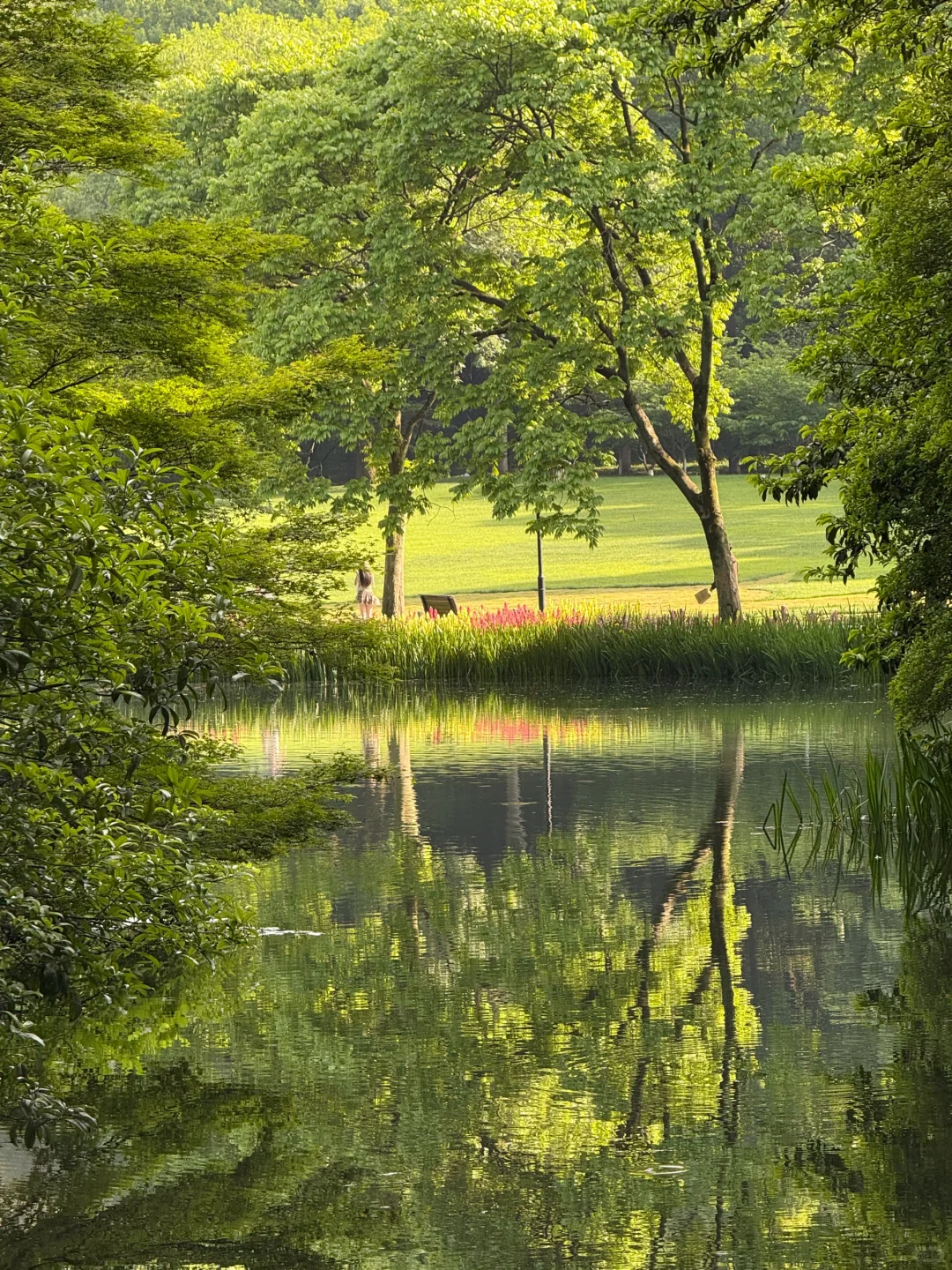 杭州现状,6月去的姐妹尽早改行程
