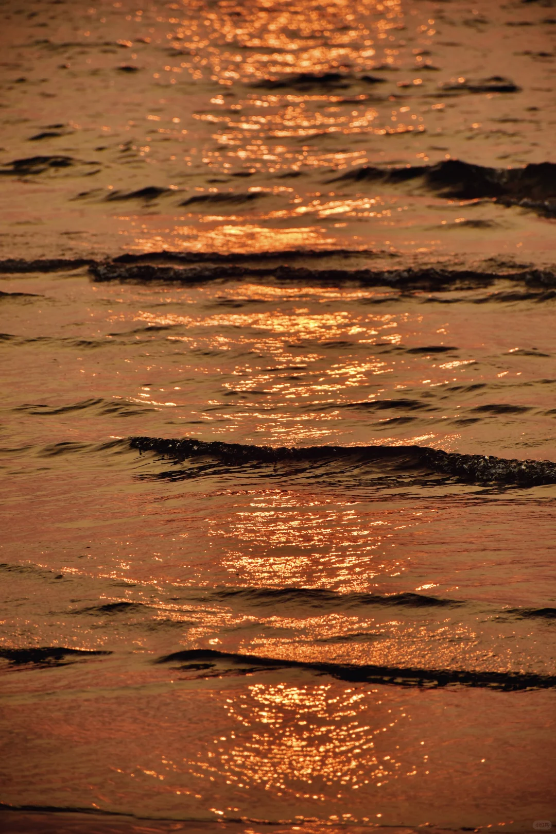 【秦皇岛旅游】我在阿那亚拍壁纸📷❗️