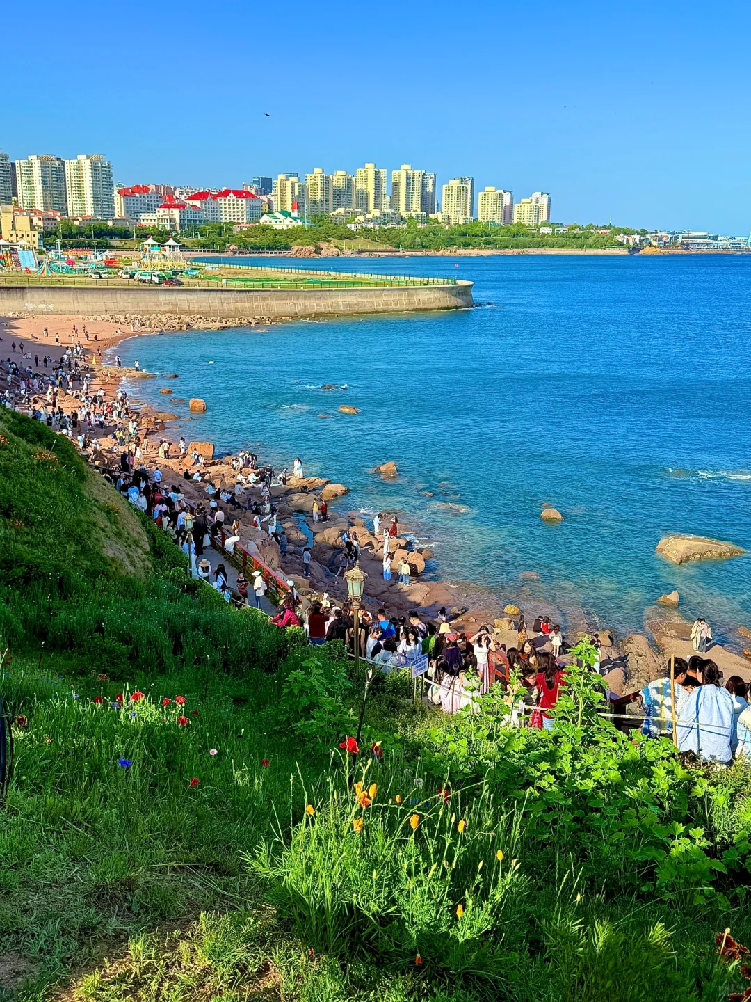 已被宰哭!奉劝最近来青岛旅游的人...