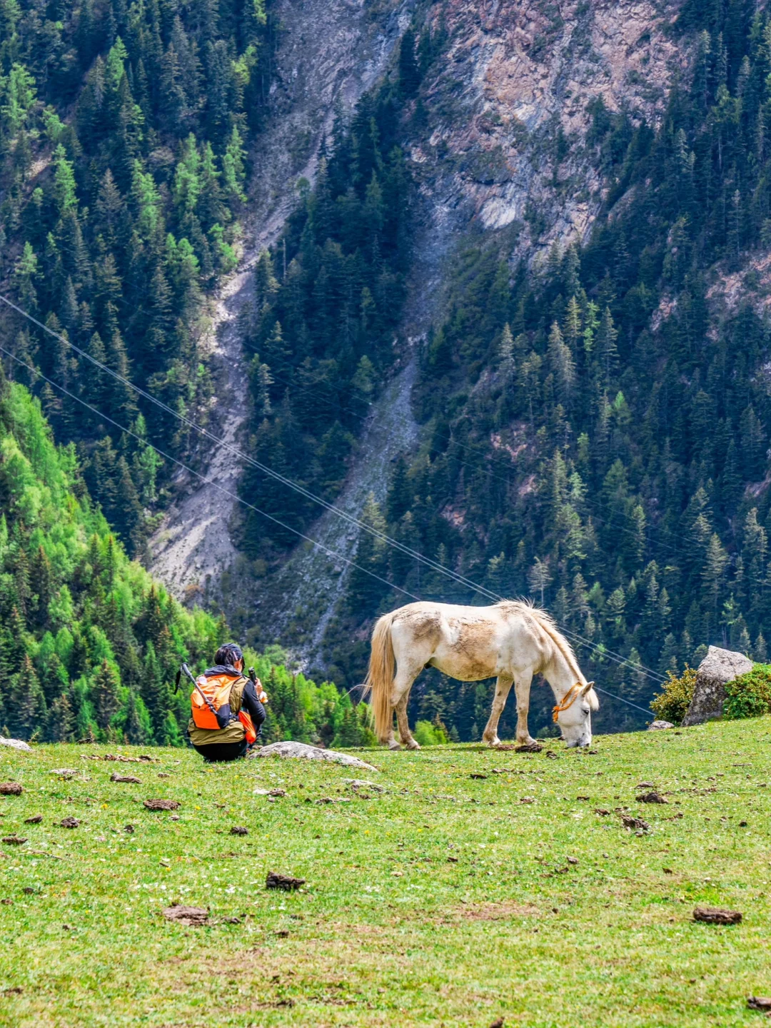 5.26实拍｜四姑娘山徒步 闯入20℃的绿野仙踪