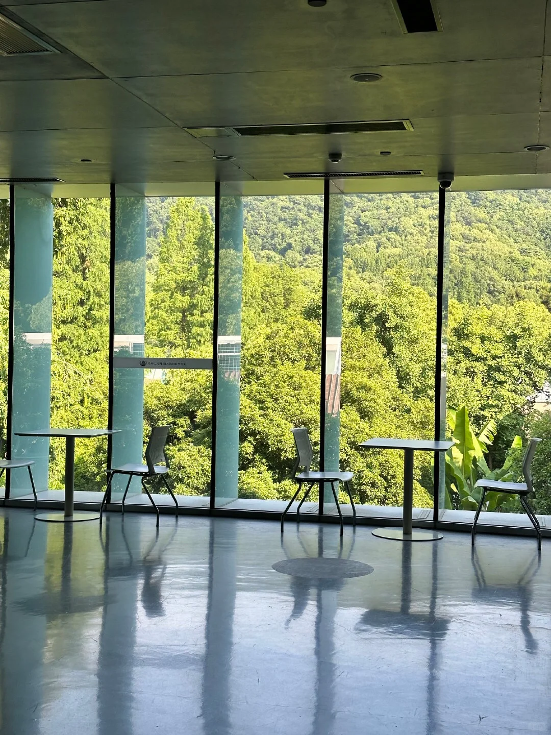 杭州现状,6月去的姐妹尽早改行程