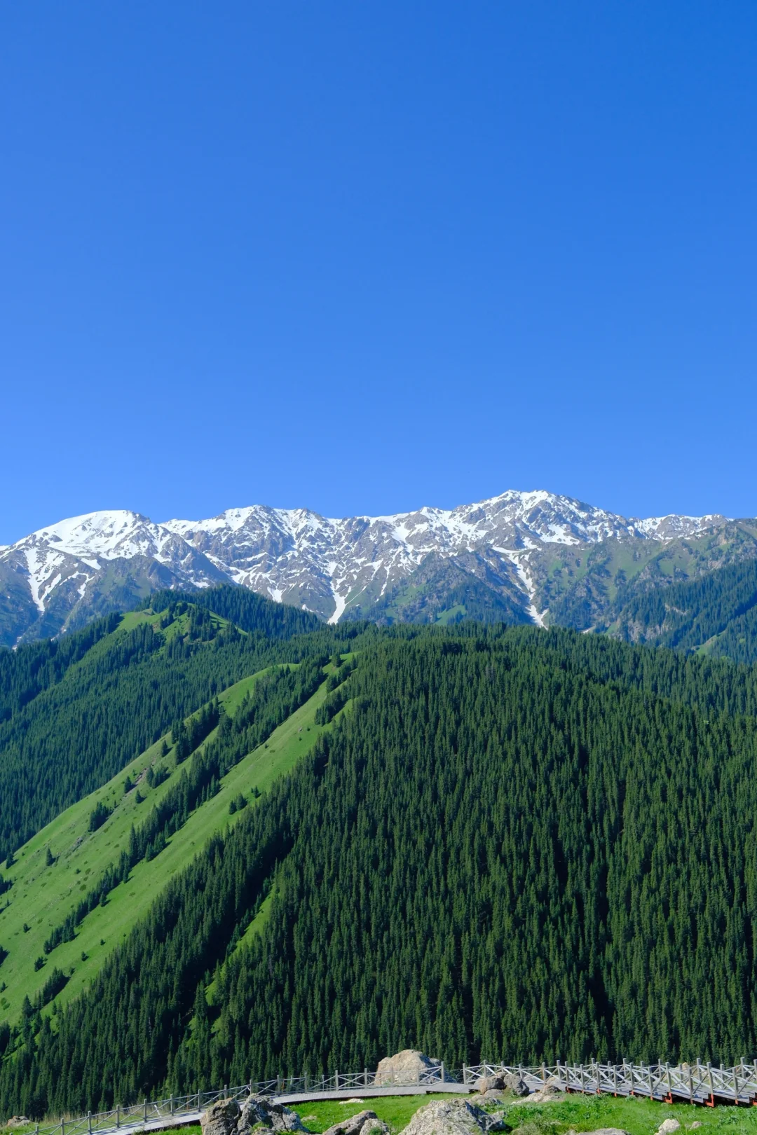 伊犁旅游