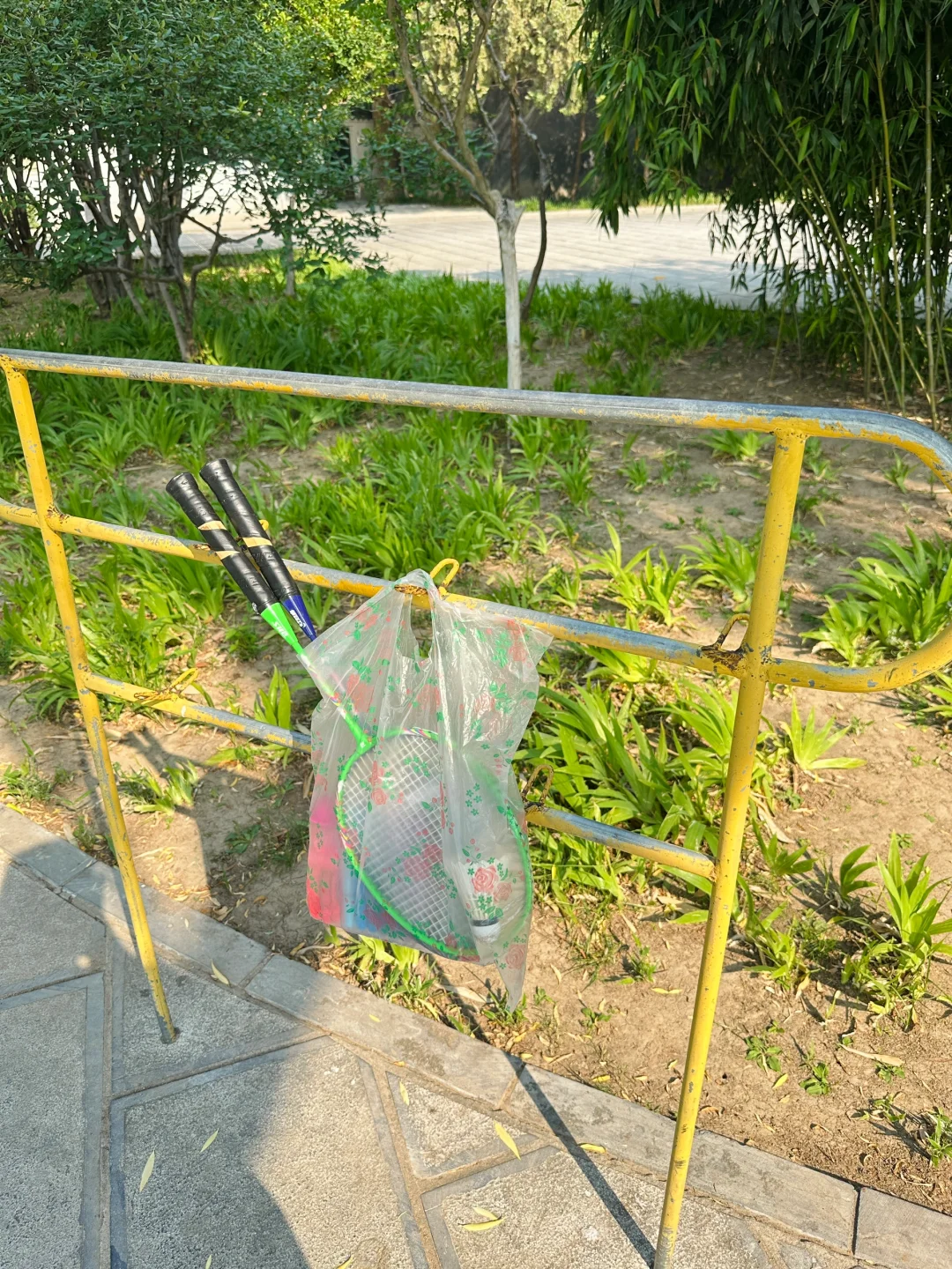 邯郸有点东西❗公园大树开瀑布