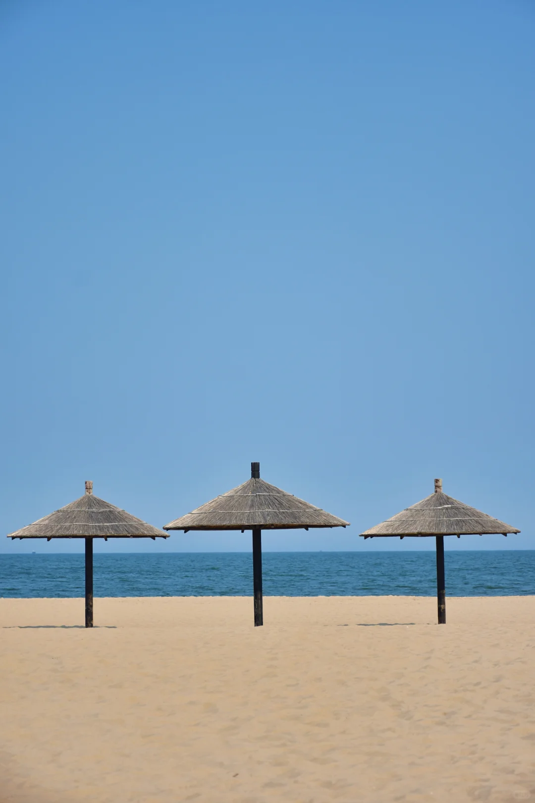 【秦皇岛旅游】我在阿那亚拍壁纸📷❗️