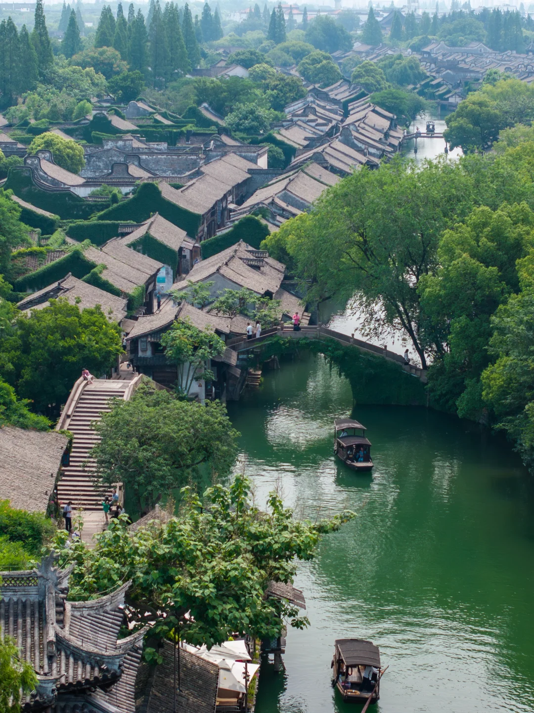 迄今为止，乌镇最惬意的旅游方式出现了🍀