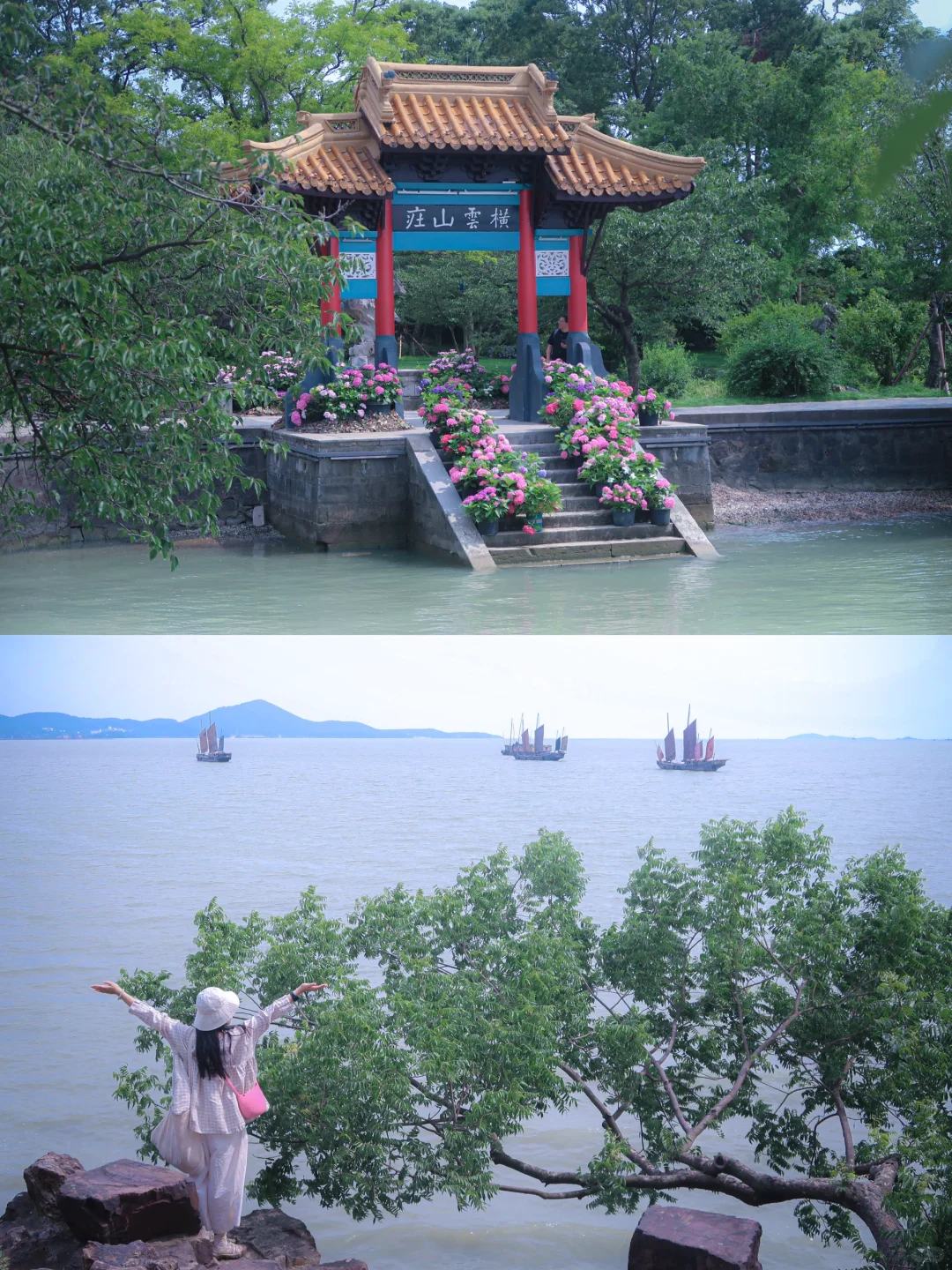 鼋头渚|花菖蒲无尽夏