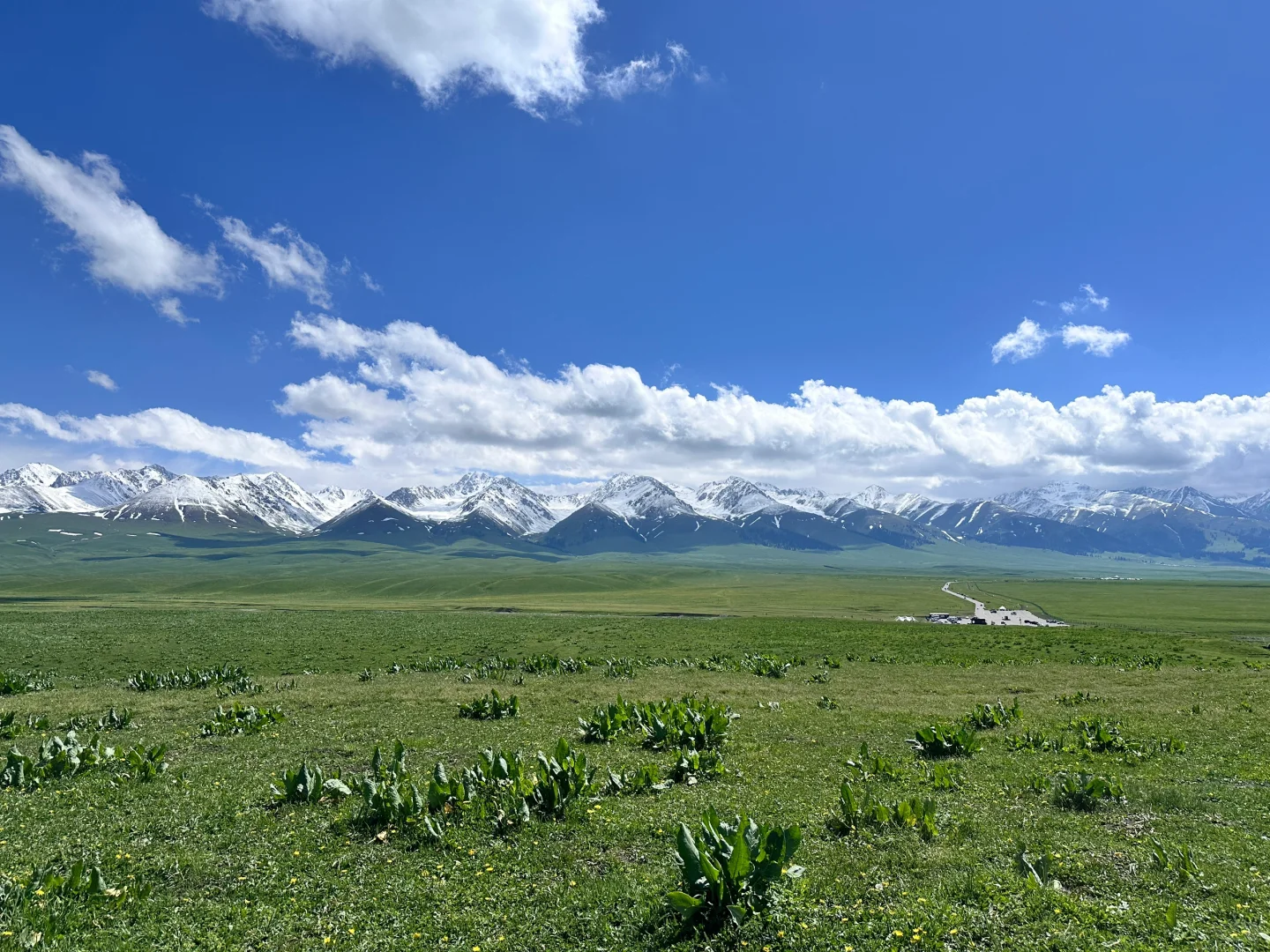 旅游归来。