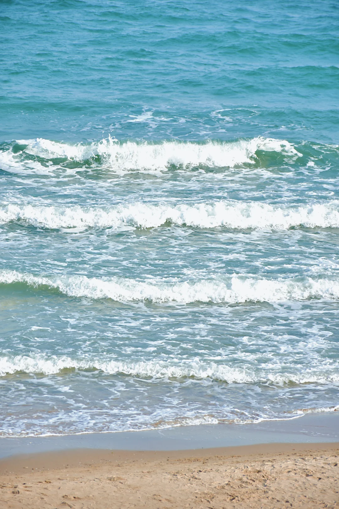 【秦皇岛旅游】我在阿那亚拍壁纸📷❗️