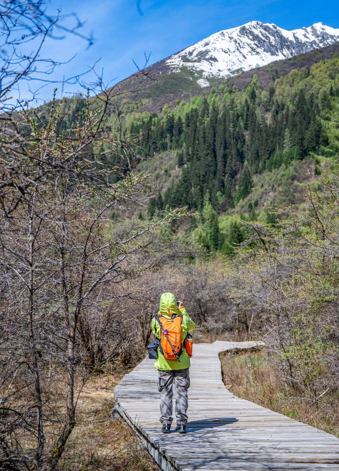 5.26实拍｜四姑娘山徒步 闯入20℃的绿野仙踪