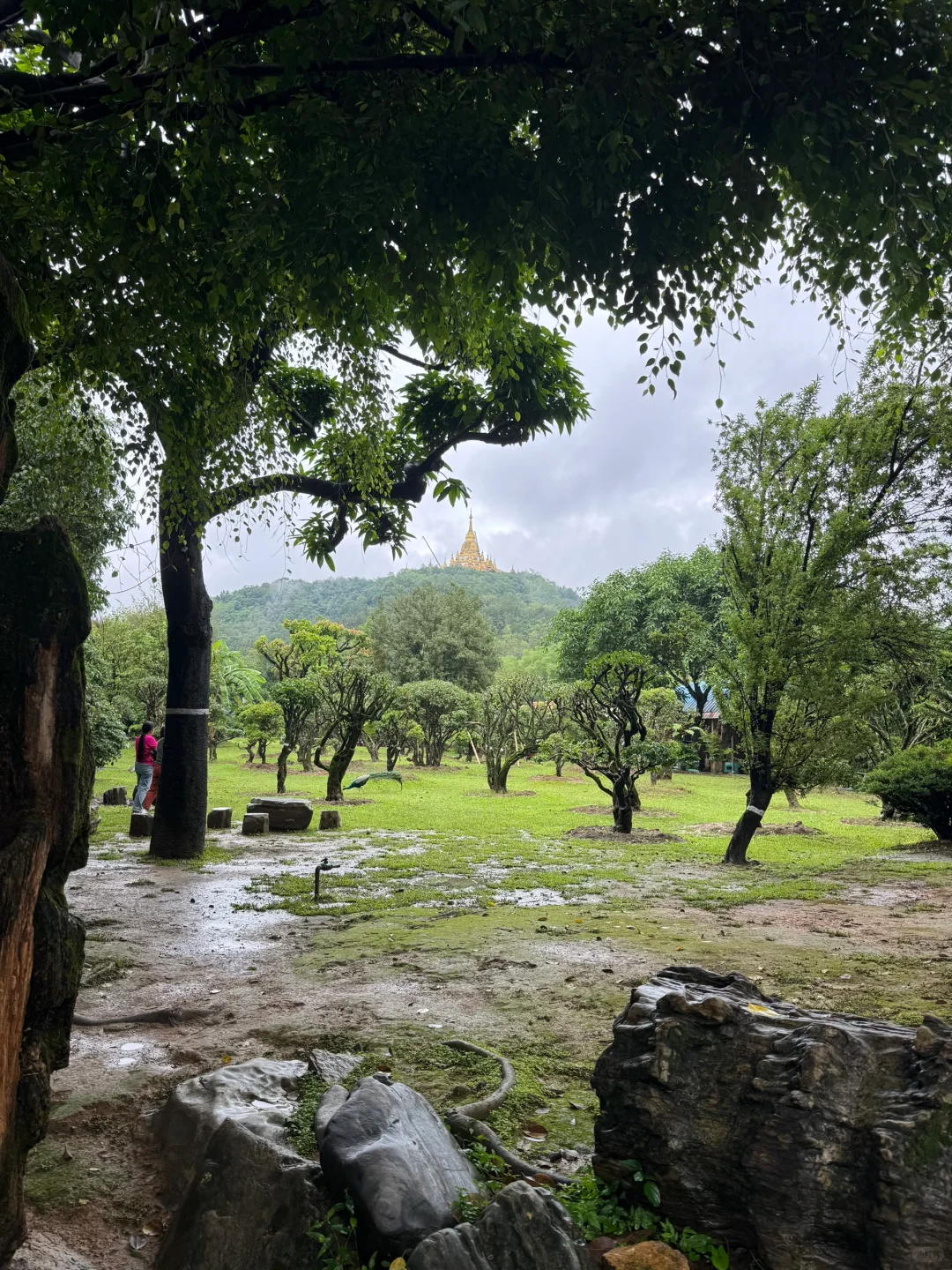 芒市最神奇的4a景点