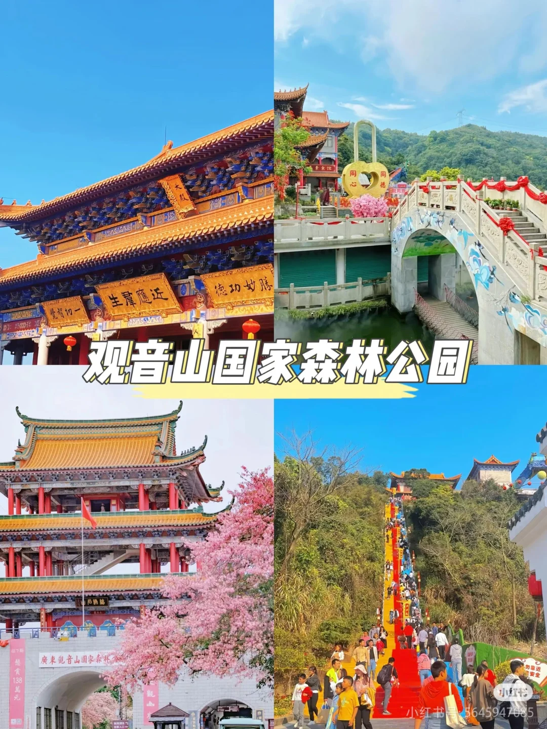 广东旅游～东莞✈️9个打卡景点