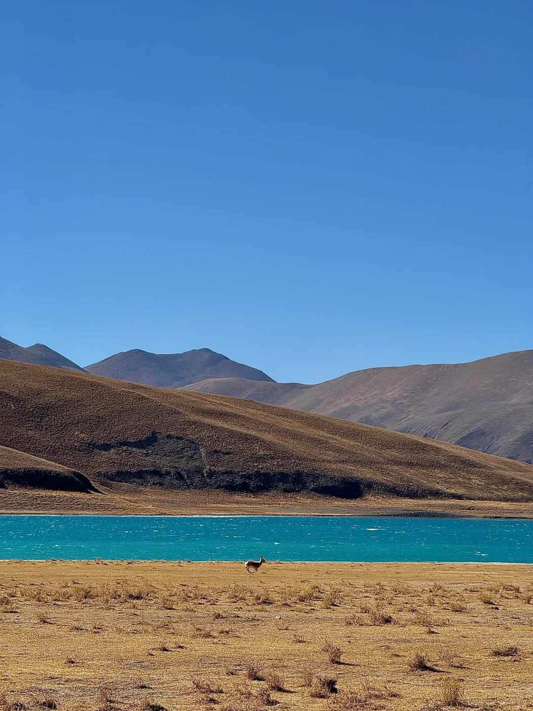 再没一个地方，可以像西藏一样让我热泪盈眶
