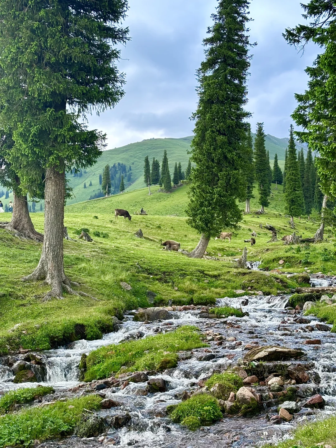 我的生命就应该浪费在这种地方……🍃