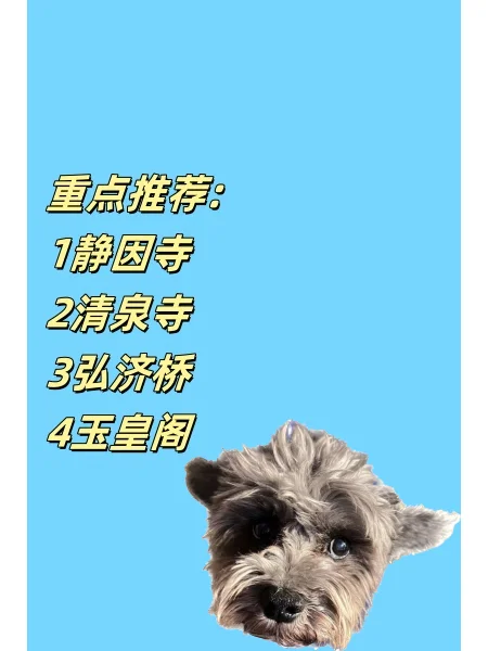 别挤热门景点 北京邯郸5天自 驾还宠物友好