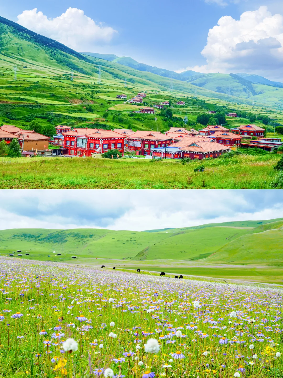 接下来的川西真的不需要滤镜。。。美晕了!!😭