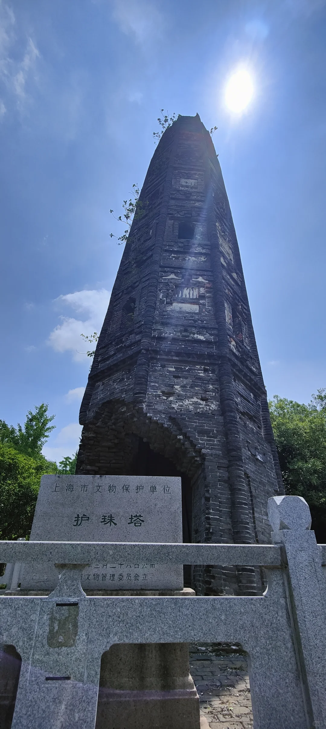 属于上海的小众天然氧吧