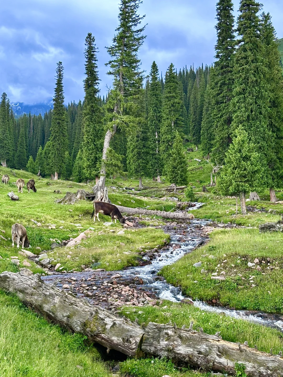 我的生命就应该浪费在这种地方……🍃
