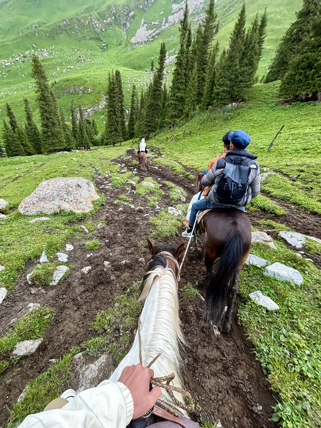我的生命就应该浪费在这种地方……🍃