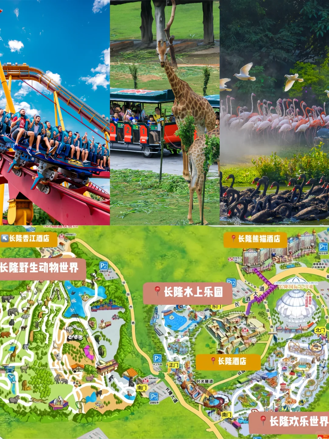售完即止！广州长隆价格大跳水❗️快来抢