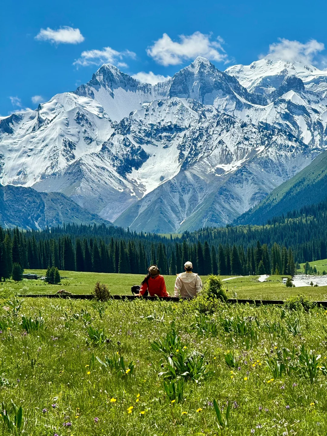 我的生命就应该浪费在这种地方……🍃