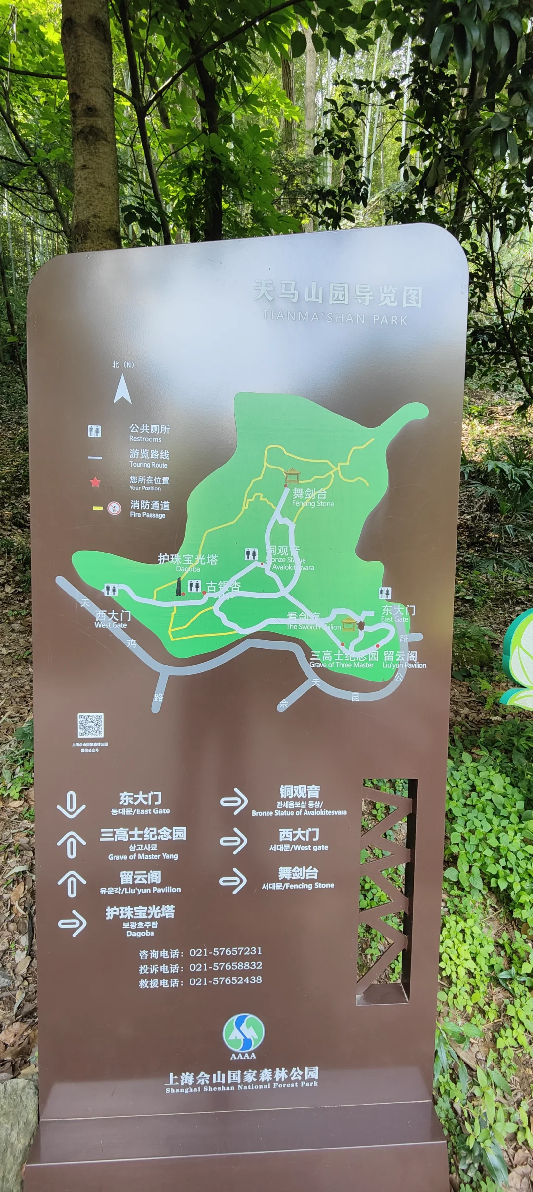 属于上海的小众天然氧吧