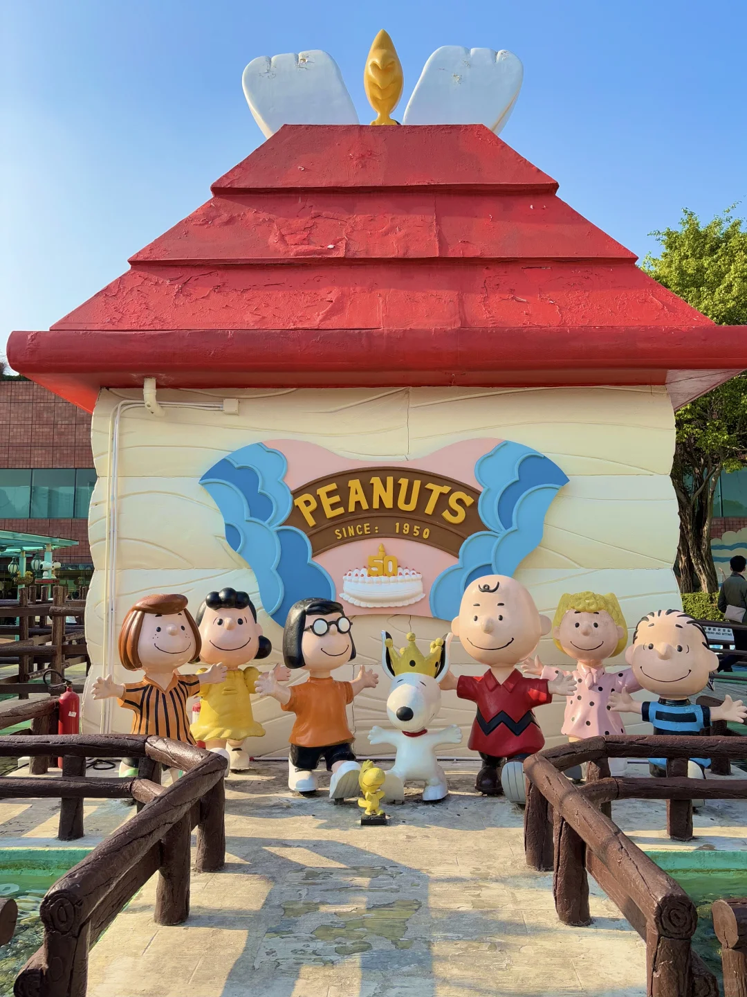 在香港跟风很成功的一次📸拍到了15张美照|