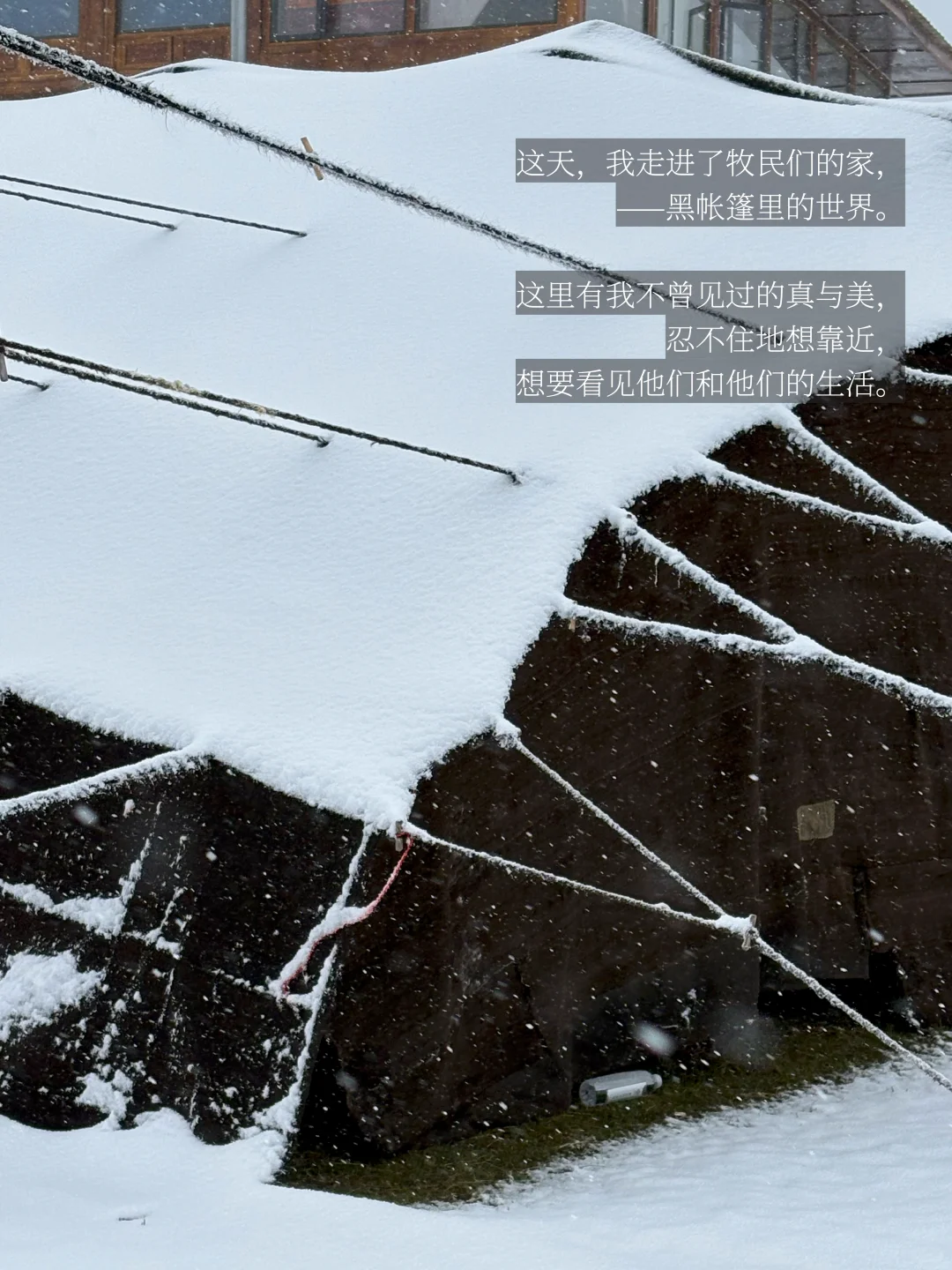 是谁在川西，大梦一场，不肯说再见