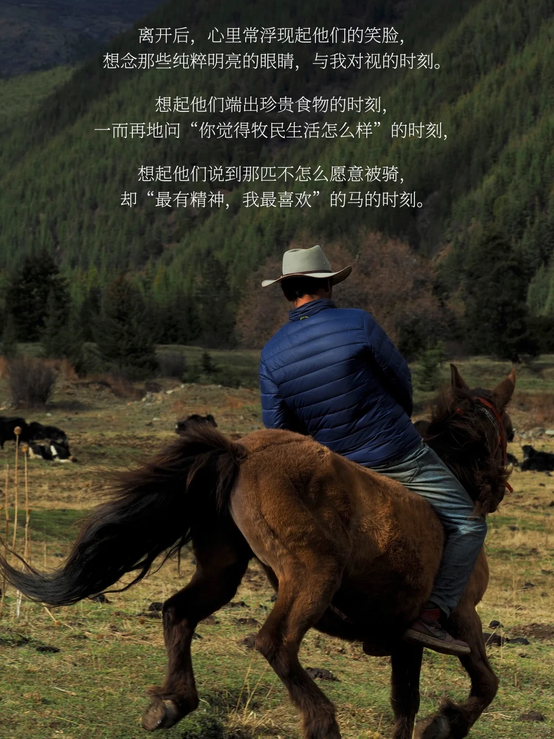 是谁在川西，大梦一场，不肯说再见