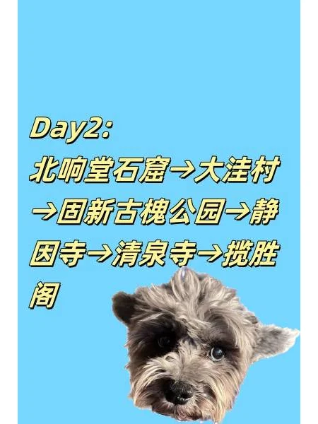 别挤热门景点 北京邯郸5天自 驾还宠物友好