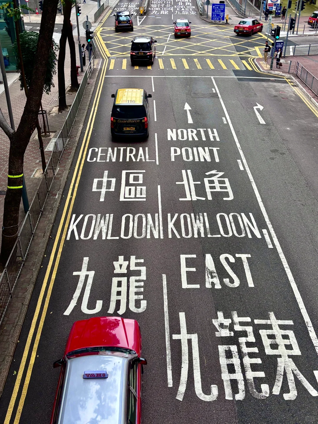 在香港跟风很成功的一次📸拍到了15张美照|