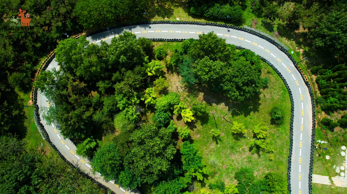 🎉山海奇幻谷春日“撒野”记🌸📍大