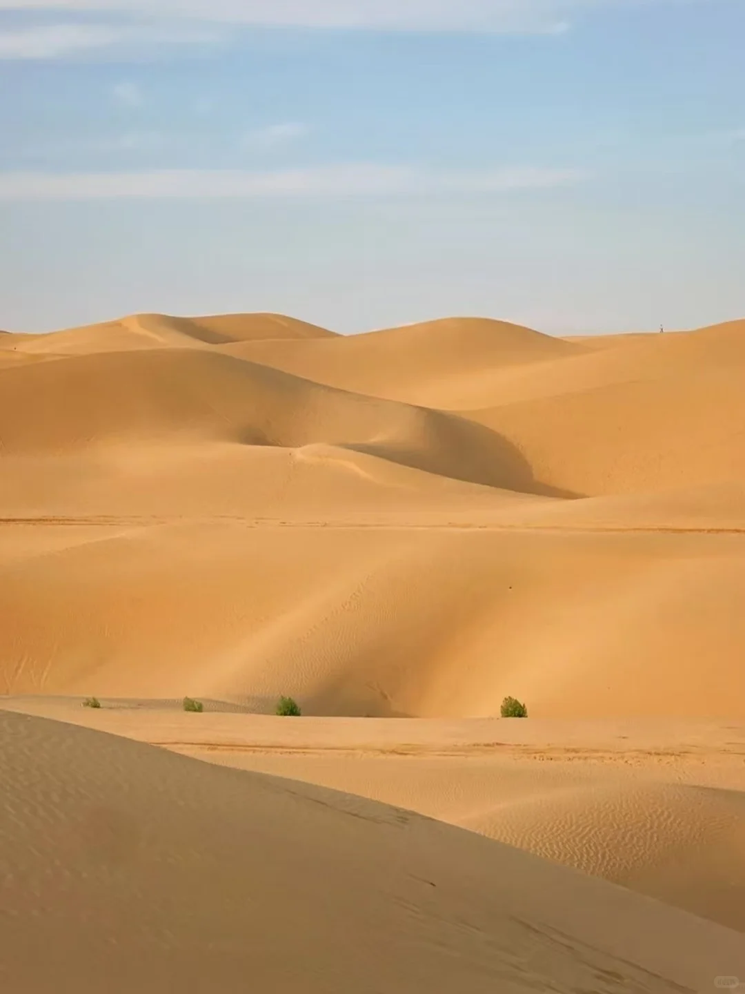 内蒙古旅游怎么玩！！！超级避雷！