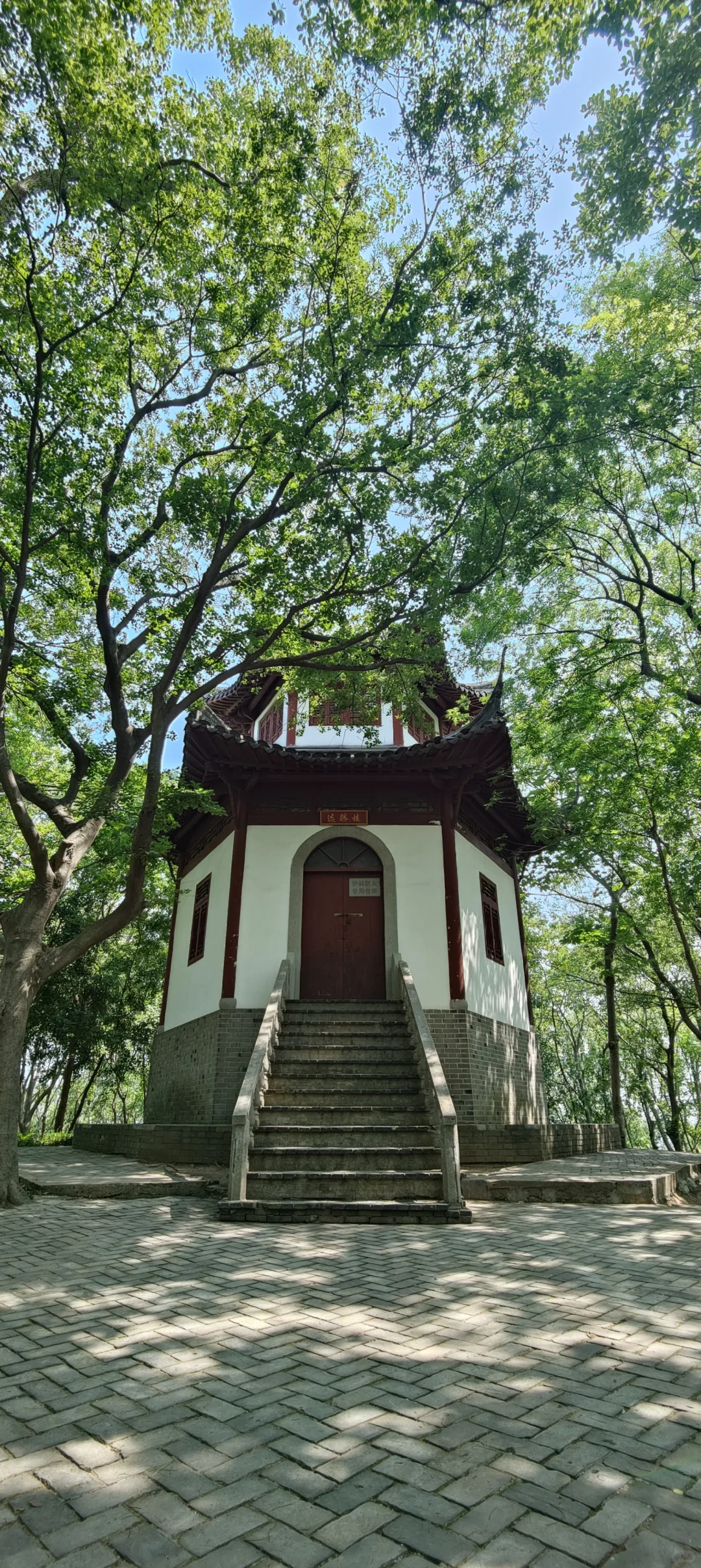 属于上海的小众天然氧吧