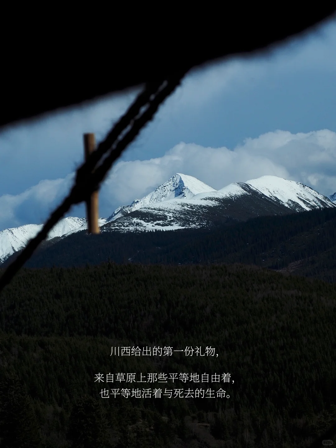 是谁在川西，大梦一场，不肯说再见