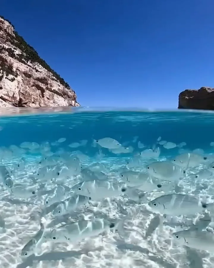 意大利旅游局你怎么不早说，全世界仅此一海