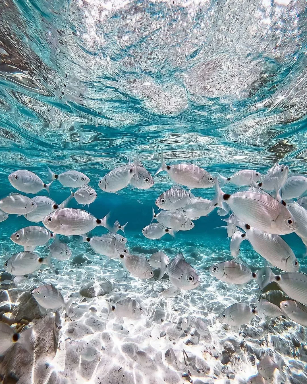 意大利旅游局你怎么不早说，全世界仅此一海