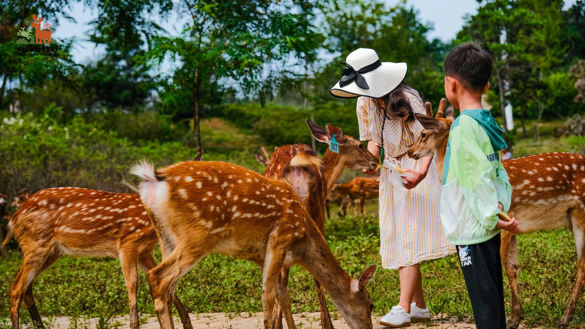 🎉山海奇幻谷春日“撒野”记🌸📍大