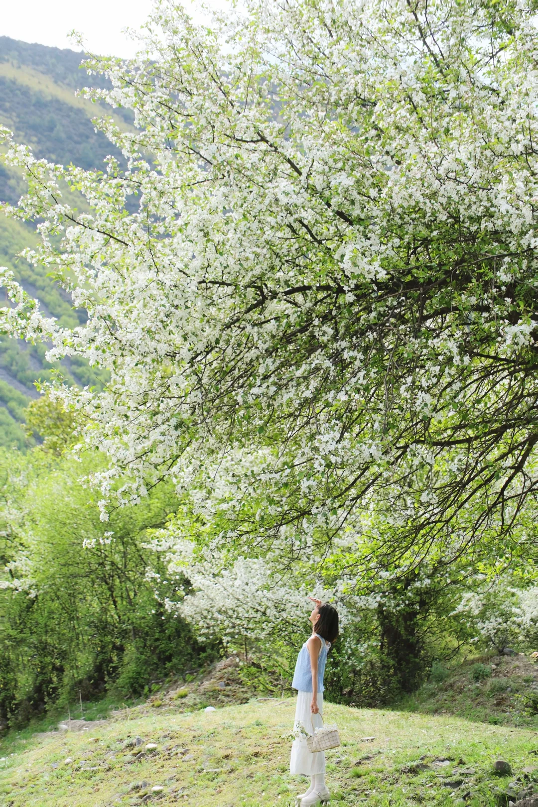 接下来的川西真的不需要滤镜。。。美晕了!!😭