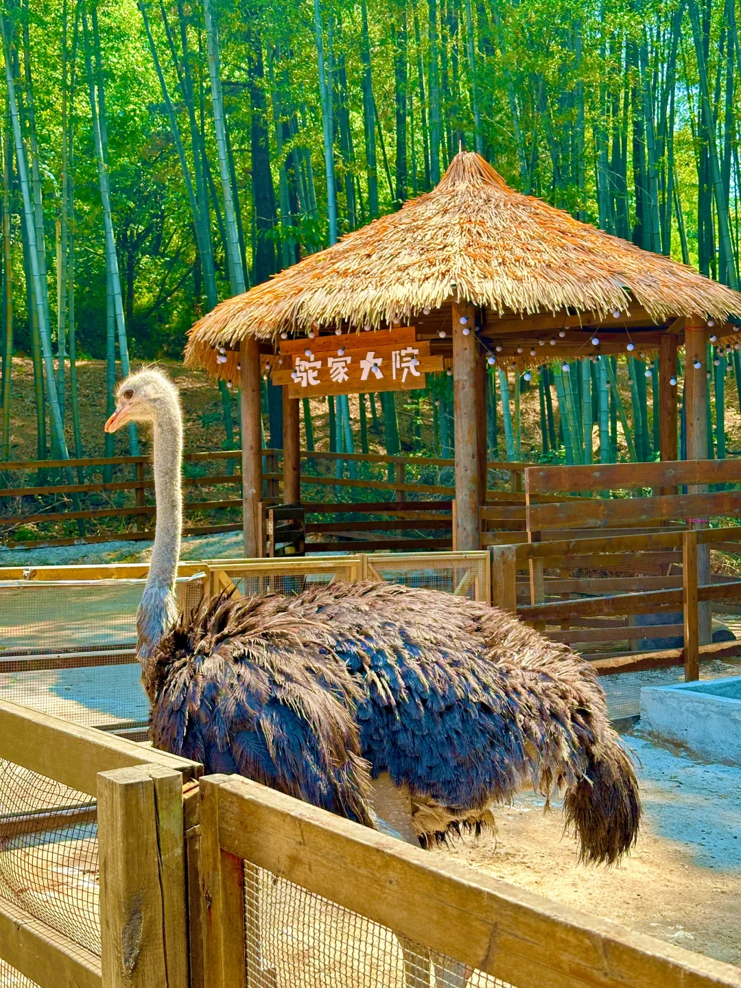 端午节王炸玩法!避开人从众的秘境被找到啦