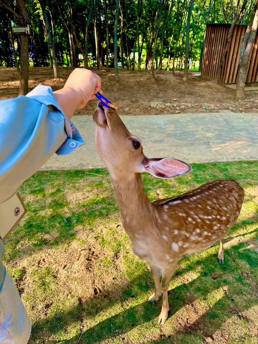 端午节王炸玩法!避开人从众的秘境被找到啦