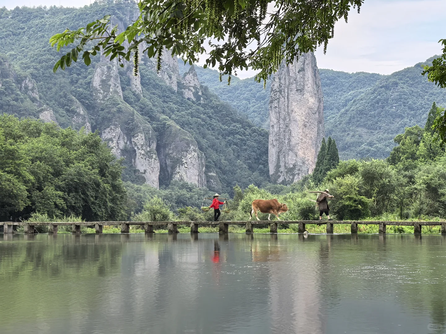 浙江丽水“缙云仙都景区”自驾游览记录