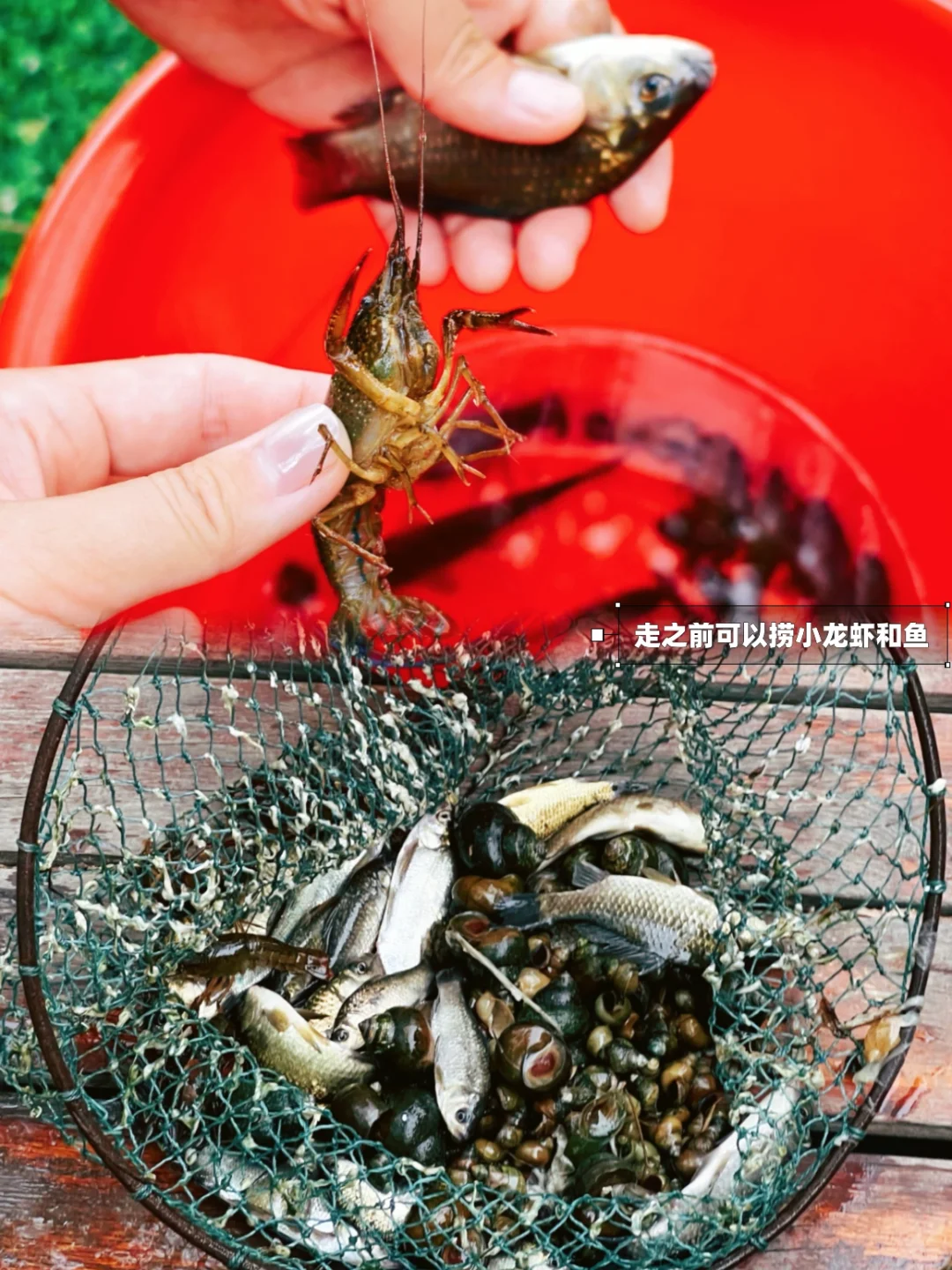 不是三亚去不起，而是京边“海”有性价比❗️