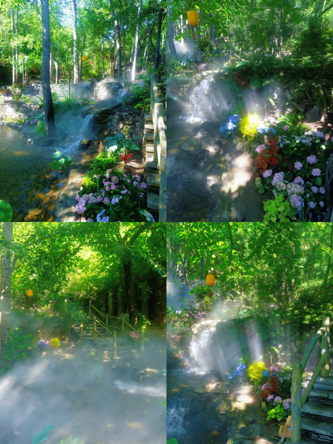 美哭了😭，拍到了同款莫奈花园，亲子友好
