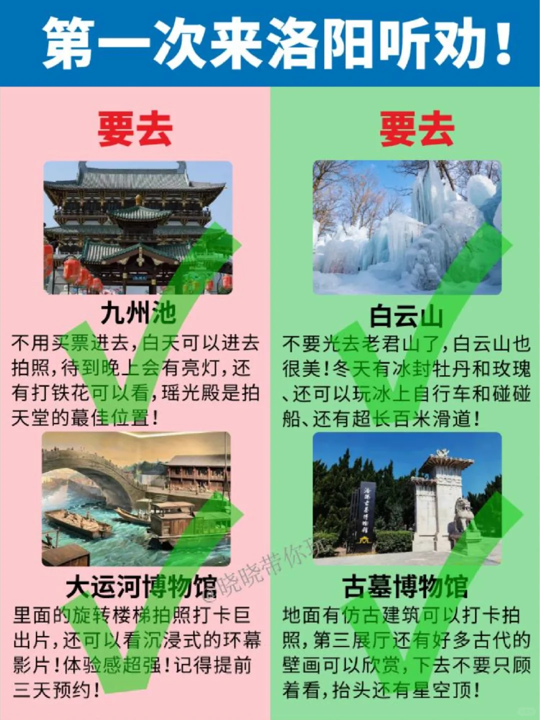洛阳首游，听劝！主打一个听话照做